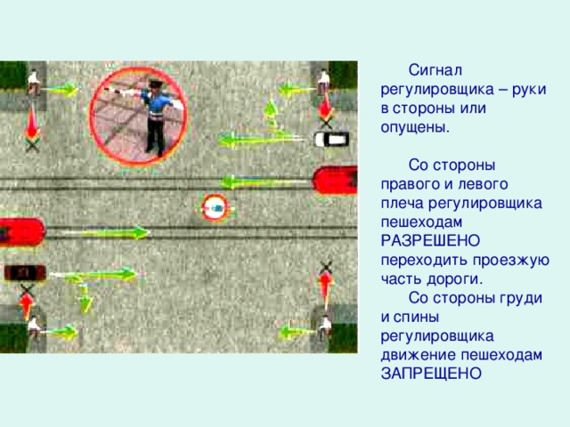 Сигнал регулировщика – руки в стороны или опущены. Со стороны правого и левого плеча регулировщика пешеходам РАЗРЕШЕНО переходить проезжую часть дороги. Со стороны груди и спины регулировщика движение пешеходам ЗАПРЕЩЕНО