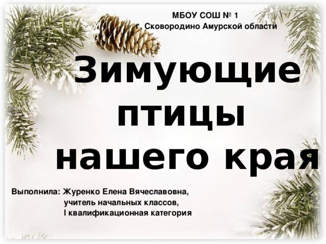 МБОУ СОШ № 1 г. Сковородино Амурской области Зимующие птицы  нашего края Выполнила: Журенко Елена Вячеславовна,  учитель начальных классов,  I квалификационная категория