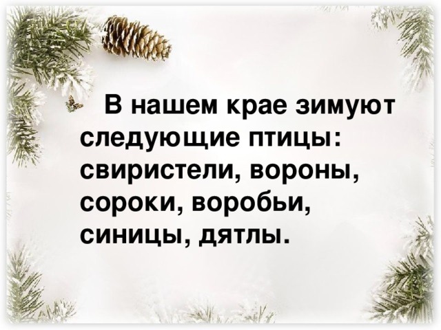 В нашем крае зимуют следующие птицы: свиристели, вороны, сороки, воробьи, синицы, дятлы.