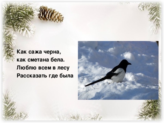 Как сажа черна, как сметана бела. Люблю всем в лесу Рассказать где была