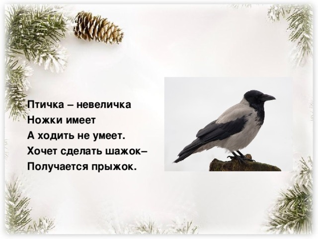 Птичка – невеличка Ножки имеет А ходить не умеет. Хочет сделать шажок– Получается прыжок.