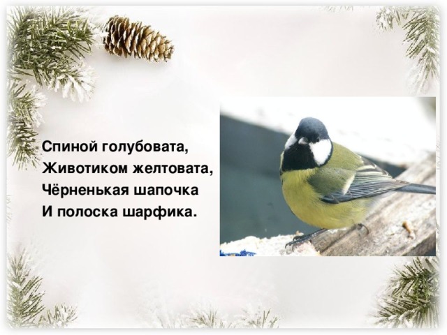 Спиной голубовата, Животиком желтовата, Чёрненькая шапочка И полоска шарфика.