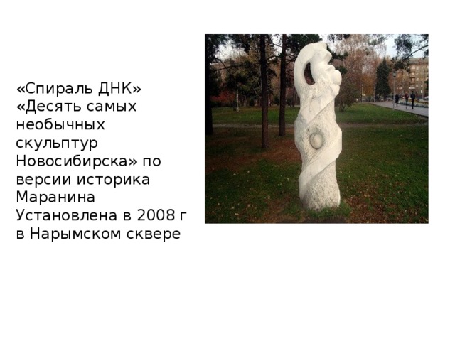 «Спираль ДНК» «Десять самых необычных скульптур Новосибирска» по версии историка Маранина Установлена в 2008 г в Нарымском сквере