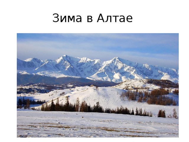 Зима в Алтае