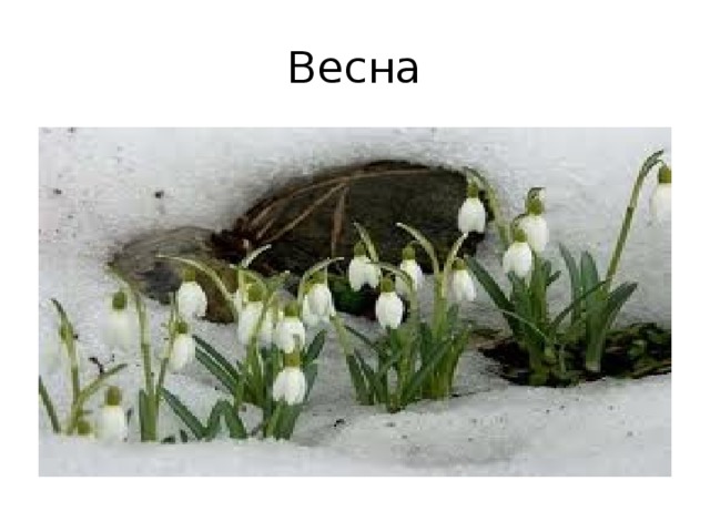 Весна