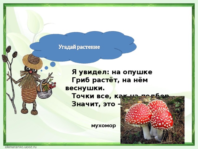 Я увидел: на опушке Гриб растёт, на нём веснушки. Точки все, как на подбор. Значит, это – ... мухомор