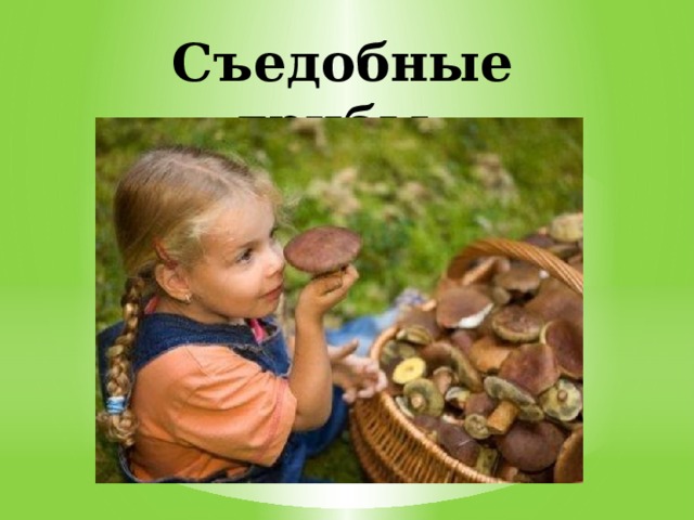 Съедобные грибы