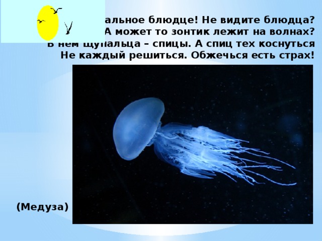 Хрустальное блюдце! Не видите блюдца?  А может то зонтик лежит на волнах?  В нём щупальца – спицы. А спиц тех коснуться  Не каждый решиться. Обжечься есть страх!           (Медуза)