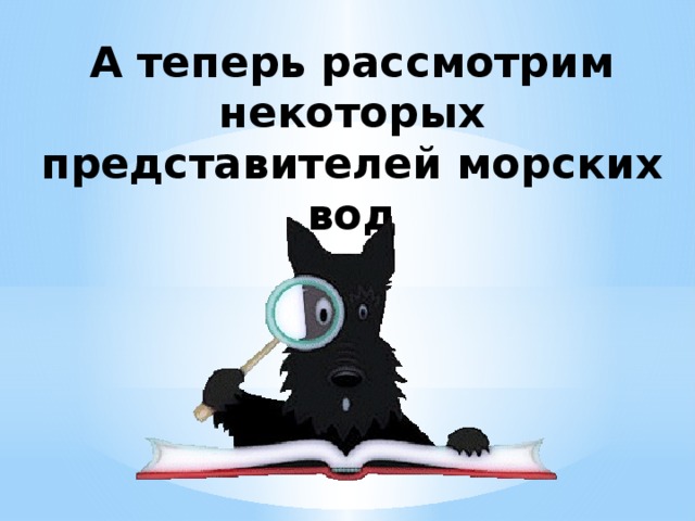 А теперь рассмотрим некоторых представителей морских вод