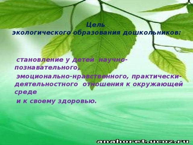 Цель  экологического образования дошкольников:  становление у детей научно-познавательного,  эмоционально-нравственного, практически-деятельностного отношения к окружающей среде  и к своему здоровью.