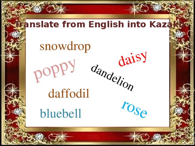 daisy dandelion  rose poppy  Translate from English into Kazakh snowdrop daffodil bluebell