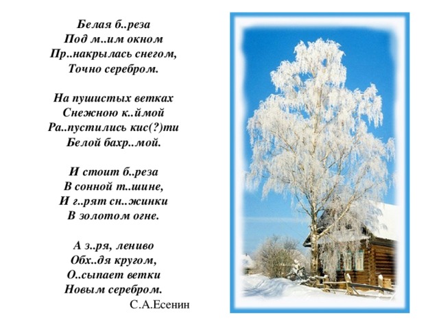 Белая б..реза  Под м..им окном  Пр..накрылась снегом,  Точно серебром.   На пушистых ветках  Снежною к..ймой  Ра..пустились кис(?)ти  Белой бахр..мой.   И стоит б..реза  В сонной т..шине,  И г..рят сн..жинки  В золотом огне.   А з..ря, лениво  Обх..дя кругом,  О..сыпает ветки  Новым серебром.  С.А.Есенин