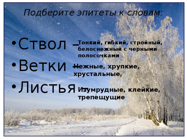 Подберите эпитеты к словам:   Ствол – Ветки – Листья – Тонкий, гибкий, стройный, белоснежный с черными полосочками Нежные, хрупкие, хрустальные, Изумрудные, клейкие, трепещущие