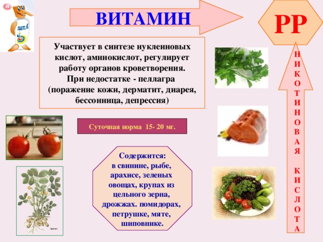 ВИТАМИН  PP   Участвует в синтезе нуклеиновых кислот, аминокислот, регулирует работу органов кроветворения. При недостатке - пеллагра (поражение кожи, дерматит, диарея, бессонница, депрессия)   Н И К О Т И Н О В А Я  К И С Л О Т А Суточная норма 15- 20 мг.  Содержится: в свинине, рыбе, арахисе, зеленых овощах, крупах из цельного зерна, дрожжах. помидорах, петрушке, мяте, шиповнике.