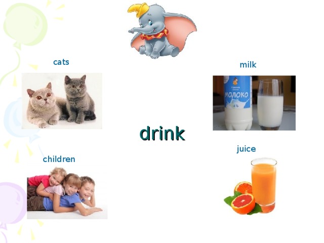 cats milk drink juice children