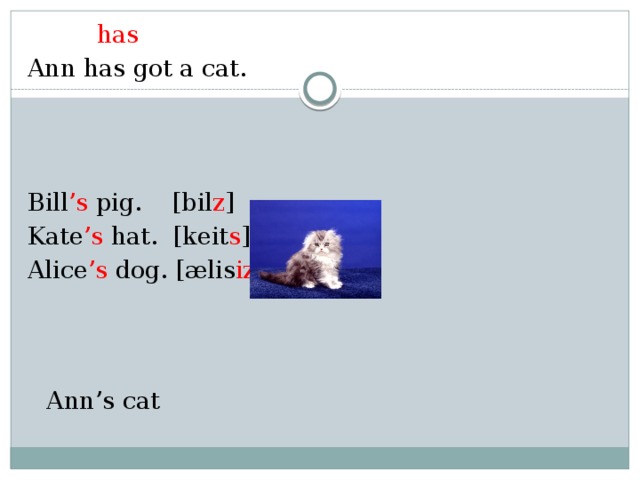 has Ann has got a cat. Bill ’s pig. [bil z ] Kate ’s hat. [keit s ] Alice ’s dog. [ælis iz ]  Ann’s cat
