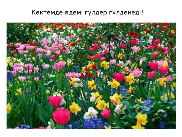 Көктемде әдемі гүлдер гүлденеді!