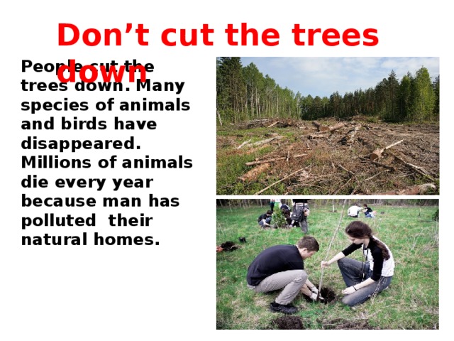Don’t cut the trees down People cut the trees down. Many species of animals and birds have disappeared. Millions of animals die every year because man has polluted their natural homes.