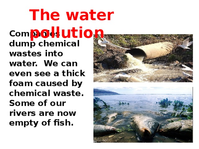 The water pollution Companies dump chemical wastes into water. We can even see a thick foam caused by chemical waste. Some of our rivers are now empty of fish.