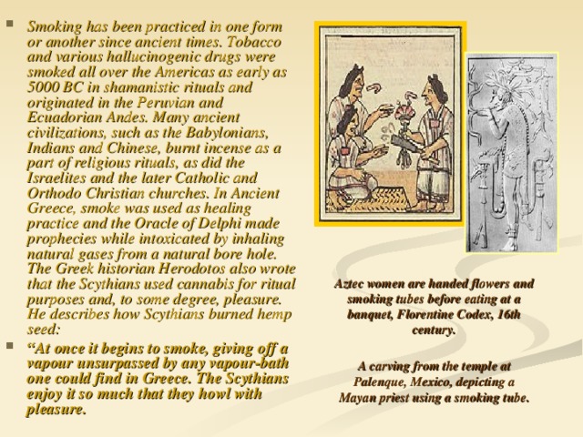 Smoking has been practiced in one form or another since ancient times. Tobacco and various hallucinogenic drugs were smoked all over the Americas as early as 5000 BC in shamanistic rituals and originated in the Peruvian and Ecuadorian Andes. Many ancient civilizations, such as the Babylonians, Indians and Chinese, burnt incense as a part of religious rituals, as did the Israelites and the later Catholic and Orthodo Christian churches. In Ancient Greece, smoke was used as healing practice and the Oracle of Delphi made prophecies while intoxicated by inhaling natural gases from a natural bore hole. The Greek historian Herodotos also wrote that the Scythians used cannabis for ritual purposes and, to some degree, pleasure. He describes how Scythians burned hemp seed: “ At once it begins to smoke, giving off a vapour unsurpassed by any vapour-bath one could find in Greece. The Scythians enjoy it so much that they howl with pleasure.