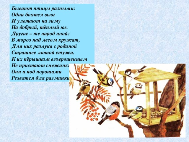 Бывают птицы разными: Одни боятся вьюг И улетают на зиму На добрый, тёплый юг. Другие – те народ иной: В мороз над лесом кружат, Для них разлука с родиной Страшнее лютой стужи. К их пёрышкам взъерошенным Не пристают снежинки, Они и под порошами Резвятся для разминки