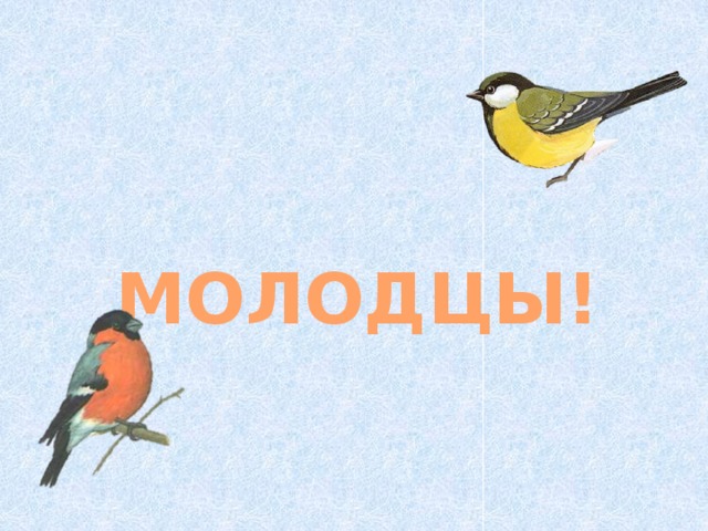 МОЛОДЦЫ!