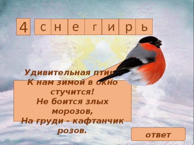 4 Удивительная птица  К нам зимой в окно стучится!  Не боится злых морозов,  На груди - кафтанчик розов. ответ