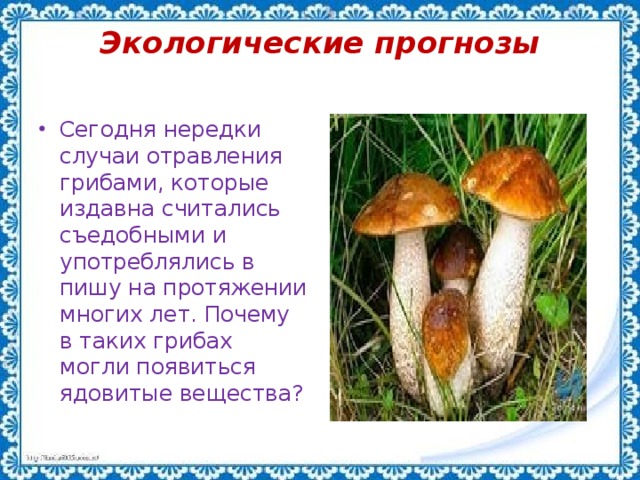 Экологические прогнозы