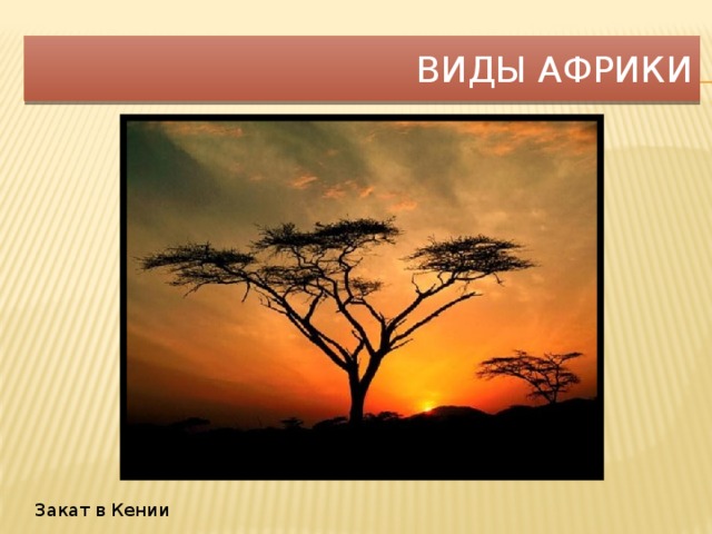 Виды Африки Закат в Кении