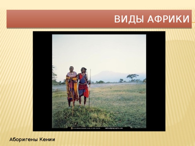 Виды Африки Аборигены Кении