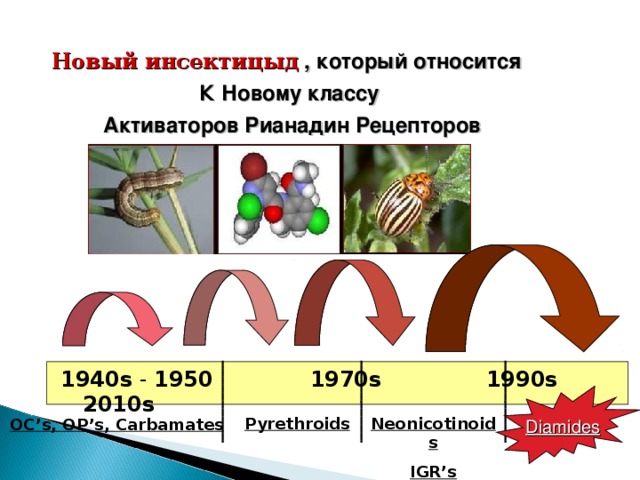 Новый инсектицыд , который относится К Новому классу Активаторов Рианадин Рецепторов    1940s - 1950 1970s 1990s 2010s  Pyrethroids Neonicotinoids IGR’s OC’s, OP’s, Carbamates Diamides