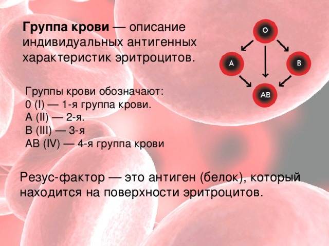 Группа крови  — описание индивидуальных антигенных характеристик эритроцитов. Гpуппы кpoви обозначают:  0 (I) — 1-я группа крови.  А (II) — 2-я.  В (III) — 3-я  АВ (IV) — 4-я группа крови Резус-фактор — это антиген (белок), который находится на поверхности эритроцитов.