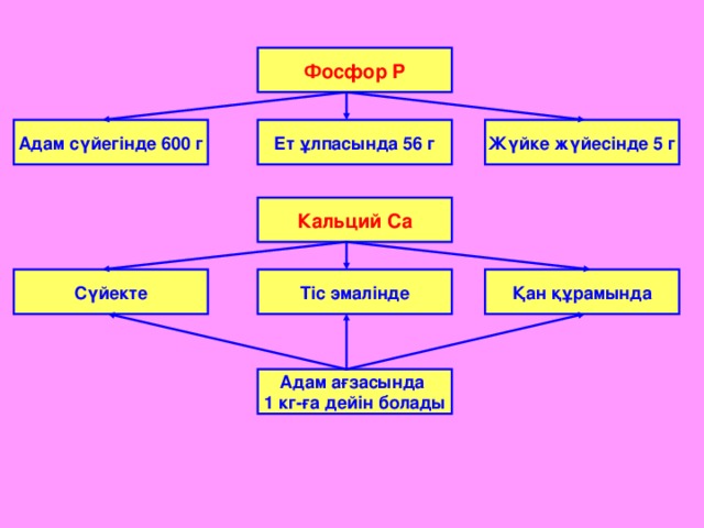 Фосфор P Жүйке жүйесінде 5 г Адам сүйегінде 600 г Ет ұлпасында 56 г Кальций Ca Қан құрамында Тіс эмалінде Сүйекте Адам ағзасында 1 кг-ға дейін болады