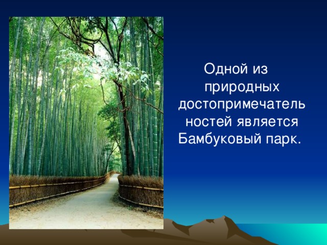 Одной из природных достопримечательностей является Бамбуковый парк.