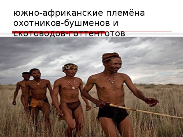 южно-африканские племёна охотников-бушменов и скотоводов-готтентотов