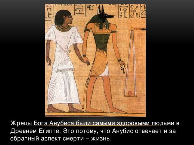 Жрецы Бога Анубиса были самыми здоровыми людьми в Древнем Египте. Это потому, что Анубис отвечает и за обратный аспект смерти – жизнь.