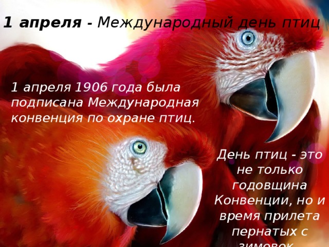 1 апреля - Международный день птиц   1 апреля 1906 года была подписана Международная конвенция по охране птиц. День птиц - это не только годовщина Конвенции, но и время прилета пернатых с зимовок.