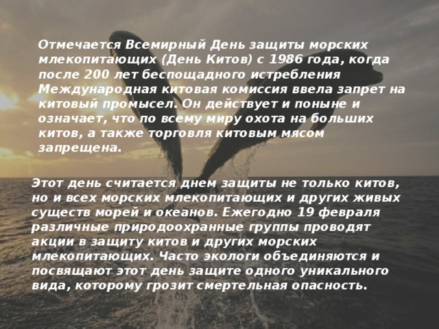 Отмечается Всемирный День защиты морских млекопитающих (День Китов) с 1986 года, когда после 200 лет беспощадного истребления Международная китовая комиссия ввела запрет на китовый промысел. Он действует и поныне и означает, что по всему миру охота на больших китов, а также торговля китовым мясом запрещена.   Этот день считается днем защиты не только китов, но и всех морских млекопитающих и других живых существ морей и океанов. Ежегодно 19 февраля различные природоохранные группы проводят акции в защиту китов и других морских млекопитающих. Часто экологи объединяются и посвящают этот день защите одного уникального вида, которому грозит смертельная опасность.