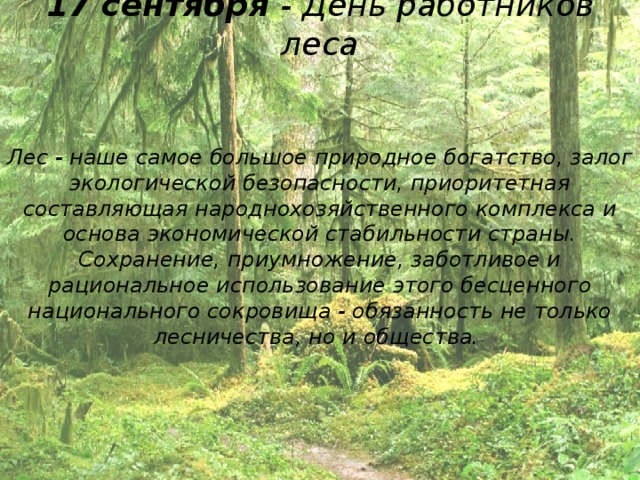 17 сентября - День работников леса Лес - наше самое большое природное богатство, залог экологической безопасности, приоритетная составляющая народнохозяйственного комплекса и основа экономической стабильности страны. Сохранение, приумножение, заботливое и рациональное использование этого бесценного национального сокровища - обязанность не только лесничества, но и общества.