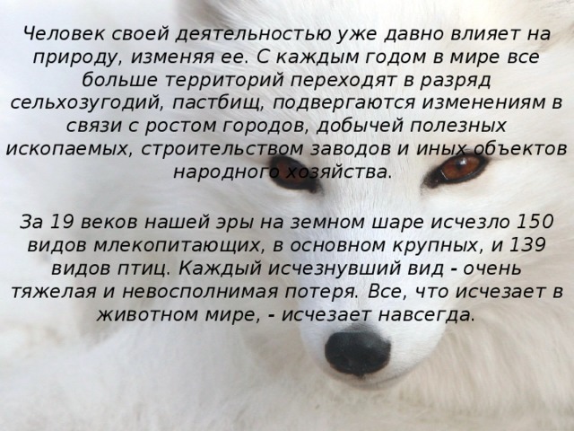 Человек своей деятельностью уже давно влияет на природу, изменяя ее. С каждым годом в мире все больше территорий переходят в разряд сельхозугодий, пастбищ, подвергаются изменениям в связи с ростом городов, добычей полезных ископаемых, строительством заводов и иных объектов народного хозяйства. За 19 веков нашей эры на земном шаре исчезло 150 видов млекопитающих, в основном крупных, и 139 видов птиц. Каждый исчезнувший вид - очень тяжелая и невосполнимая потеря. Все, что исчезает в животном мире, - исчезает навсегда.