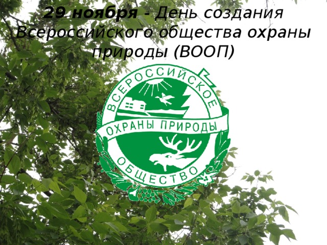 29 ноября - День создания Всероссийского общества охраны природы (ВООП)