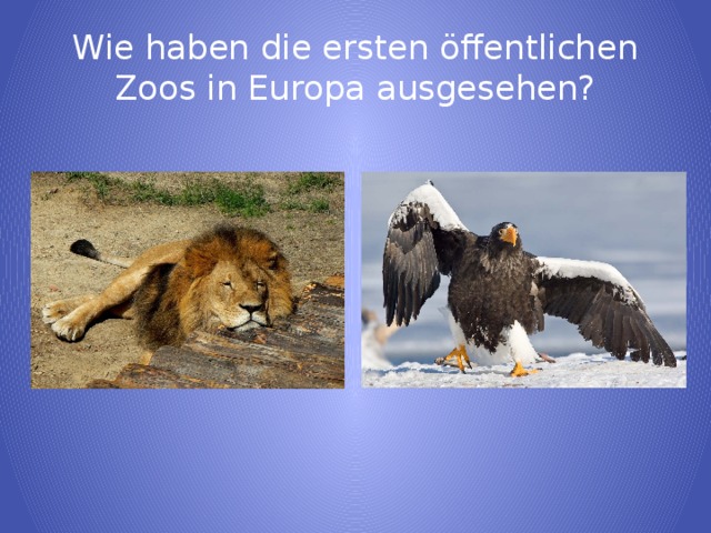 Wie haben die ersten öffentlichen Zoos in Europa ausgesehen?