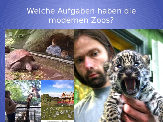 Welche Aufgaben haben die modernen Zoos?