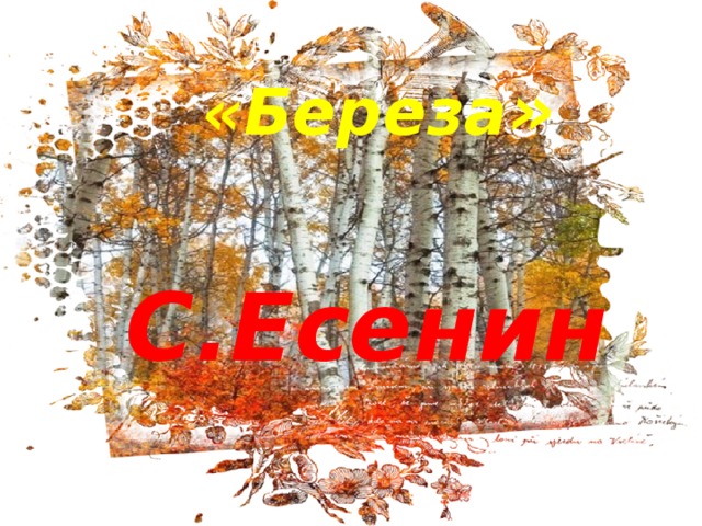 «Береза »   С.Есенин