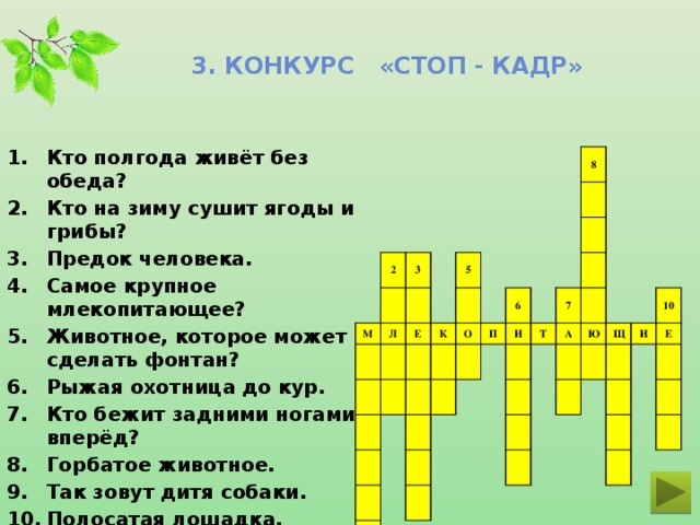 3. Конкурс «стоп - кадр» Кто полгода живёт без обеда? Кто на зиму сушит ягоды и грибы? Предок человека. Самое крупное млекопитающее? Животное, которое может сделать фонтан? Рыжая охотница до кур. Кто бежит задними ногами вперёд? Горбатое животное. Так зовут дитя собаки. Полосатая лошадка.  2 М 3 Л Е 5 К 8 О 6 П И 7 Т А Ю Щ 10 И Е