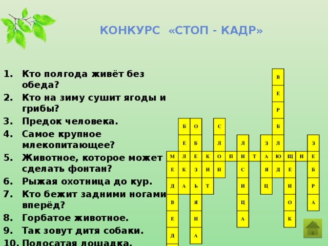 Конкурс «стоп - кадр» Кто полгода живёт без обеда? Кто на зиму сушит ягоды и грибы? Предок человека. Самое крупное млекопитающее? Животное, которое может сделать фонтан? Рыжая охотница до кур. Кто бежит задними ногами вперёд? Горбатое животное. Так зовут дитя собаки. Полосатая лошадка.  Б Е М О Л Б Е К Е Д С Л А К З В И В Е Ь О П Т Л Е Н Д Я Р И Н Ь Б С Т З А Л А И Ю Я Ц Д Щ Ц А Е З И Н Е Б О Р К А