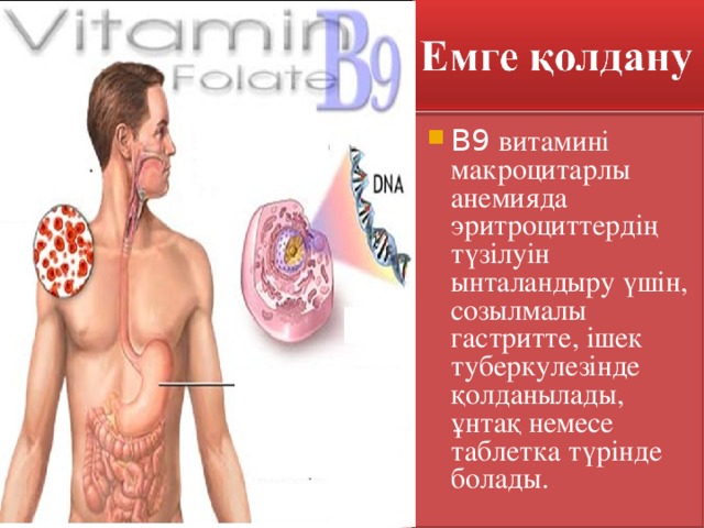 В 9  витамині макроцитарлы анемияда эритроциттердің түзілуін ынталандыру үшін, созылмалы гастритте, ішек туберкулезінде қолданылады, ұнтақ немесе таблетка түрінде болады.