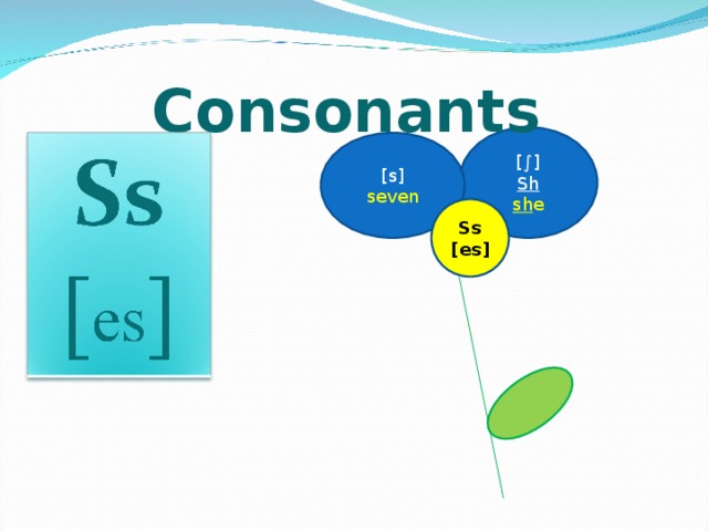 Consonants  [∫] Sh sh e [s] seven Ss [es]