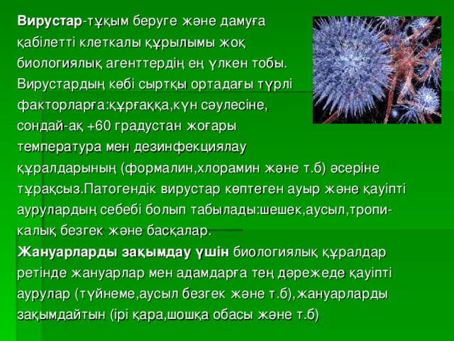 Вирустар -тұқым беруге және дамуға қабілетті клеткалы құрылымы жоқ биологиялық агенттердің ең үлкен тобы. Вирустардың көбі сыртқы ортадағы түрлі факторларға:құрғаққа,күн сәулесіне, сондай-ақ +60 градустан  жоғары температура мен дезинфекциялау құралдарының (формалин,хлорамин және т.б) әсеріне тұрақсыз.Патогендік вирустар көптеген ауыр және қауіпті аурулардың себебі болып табылады:шешек,аусыл,тропи- калық безгек және басқалар. Жануарларды зақымдау үшін биологиялық құралдар ретінде жануарлар мен адамдарға тең дәрежеде қауіпті аурулар (түйнеме,аусыл безгек және т.б),жануарларды зақымдайтын (ірі қара,шошқа обасы және т.б)