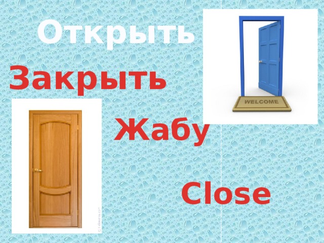 Открыть Закрыть Жабу Close